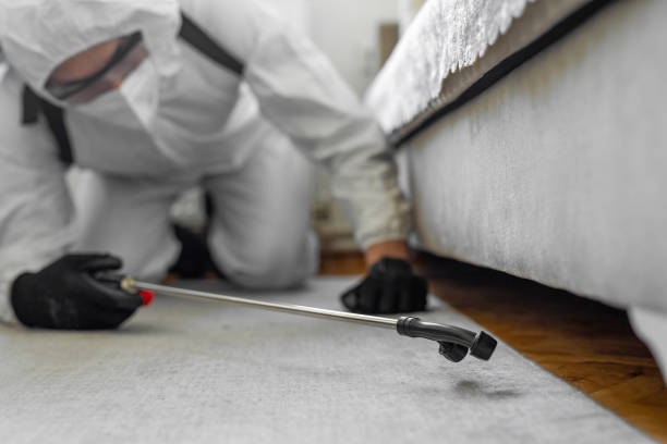 Professional Bed Bug Control technician working in Buena Vista, MI