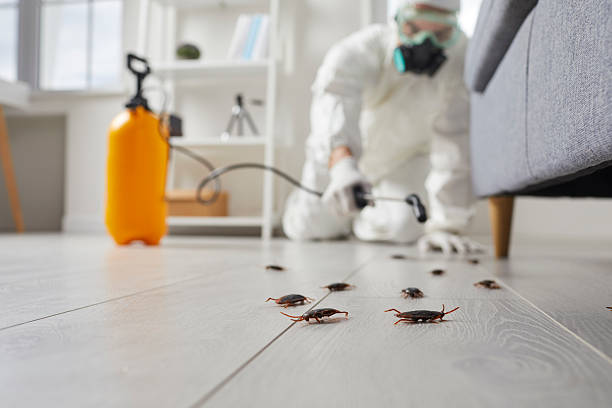 Trusted Emergency Pest Control service in Buena Vista, MI - Nex Pest Control