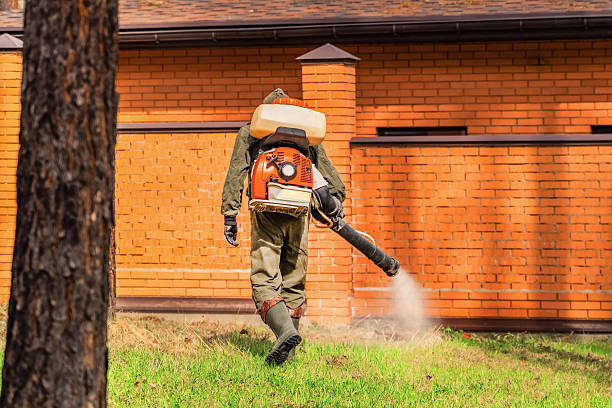 Trusted Fumigation Services service in Buena Vista, MI - Nex Pest Control